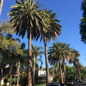 Meet your Posher, Cara